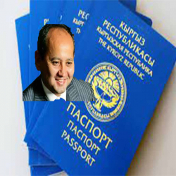 «Паспорт мафиясы» гүлдөп кеткен