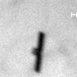 Секретный американский спутник попал на фото