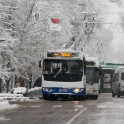 Бишкекте автобус, троллейбуска жол кире көтөрүлөт