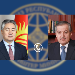 Кыргызстан менен Тажикстандын ТИМ башчылары телефон аркылуу суйлөштү
