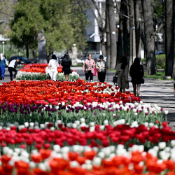 Күн качан жылыйт? Синоптиктердин 25-апрелге чейинки божомолу