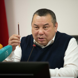 Балбак Түлөбаев чукул арада ыктыярчыларды түзүү керектигин айтты