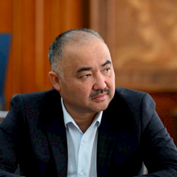 Нурланбек Шакиев зилзалага байланыштуу япониялык кесиптештерине көңүл айтты