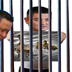 Өрдөктүн эти дегенде жантыгынан жата калган Жамгырчиевге кылмыш иши козголду