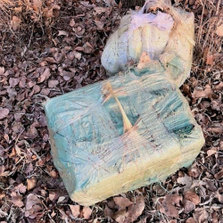 Жалал-Абадда чек арадан аткезчилик жол менен дары жана жылкы алып өтүү аракетине бөгөт коюлду