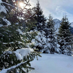 Жаан, кар жаайт: 11-январга карата аба ырайы