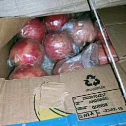 Баткенде чек арадан аткезчилик жүктөрдү алып өтүү аракеттерине бөгөт коюлду