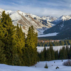 24-январга карата күтүлгөн аба ырайы