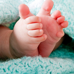 Милиция: Эне-Сай конушунда ара төрөлгөн ымыркайдын сөөгү табылды