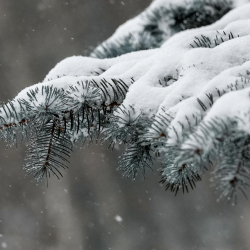 3-февралдын аба ырайы: жолдор тайгалак болот