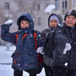 Сууктан улам Бишкектин мектептери кыскартылган графикке өтүшү мүмкүн