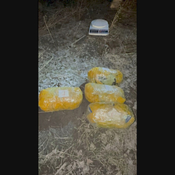 УКМК: Баткенде эл аралык наркоканал уюштурган милиция кызматкери кармалды