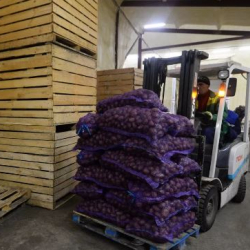 ЕАЭБде кампа күбөлүктөрүн берүү боюнча макулдашуу ратификацияланды