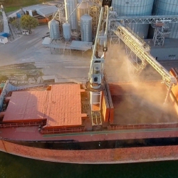 Орусия Африканын алты өлкөсүнө 200 миң тонна эгин бекер жеткиргенин жарыялады