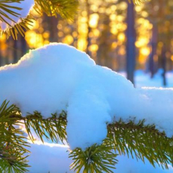 27-февралга карата аба ырайы