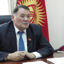 Экс-депутат Камчыбек Жолдошбаев эки айга камакка алынды