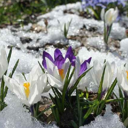 2-март. Абанын күндүзгү температурасы