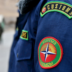 Бажы тутумуна кызматтык иликтөө жүргүзүлүп, 21 кызматкер иштен алынды