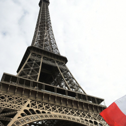 Франция Конституциясына аялдардын боюнан алдыруу укугун бекитти