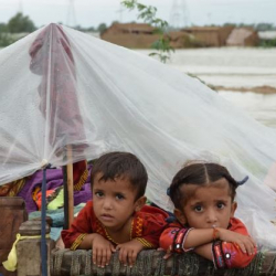 Пакистанда жана Ооганстанда туруксуз аба ырайынан 80дей адам каза болду