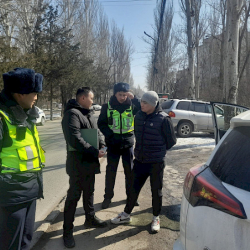 Бишкекте эки жаранга жашыл аянтка унаа токтоткону үчүн айып салынды