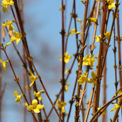 11-март. Абанын күндүзгү температурасы