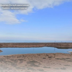 Тоңдо мыйзамсыз менчиктештирилген 21 га жер тилкеси мамлекетке кайтарылды