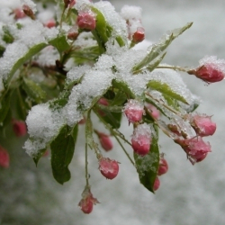 15-март. Абанын күндүзгү температурасы