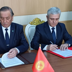 Кыргыз-тажик чек арасынын дагы 10,76 чакырымы макулдашылды