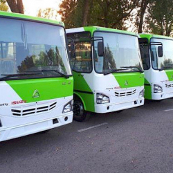 Өзбекстандан сатылып алынган автобустардын алгачкы партиясы Ошко келди