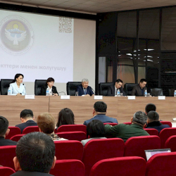 Энергетикалык каатчылык. Ибраев энергокомпаниялардын өкүлдөрү менен жолукту