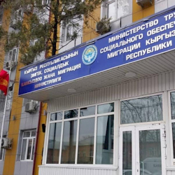 Эмгек министринин жаңы орун басарлары дайындалды