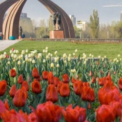 Бишкекте апта аягына чейин күн жылуу болот, бирок жаан жаайт