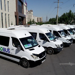 Нооруз – 2024: Бишкек мэриясы көк бөрү күйөрмандары үчүн коомдук транспорт уюштурат