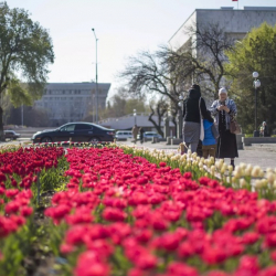 Бишкек мэриясы беш күндүн ичинде жарандарга 2,5 млн. сом айып салды