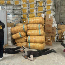 В Бишкеке на складе нашли 4 тонны маковой соломы, содержащей 350 кг кодеина и морфина