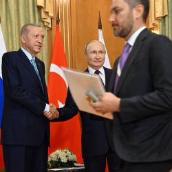 В Турции ответили на вопрос о сроках визита Путина