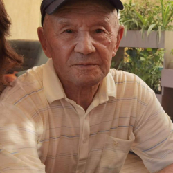 Дайынсыз жоголгон жаран табылды