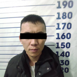 Унаа уурдоого шектүү жаран кармалды