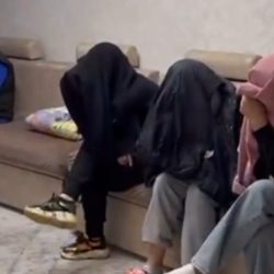 Рейд «Притон-Бабочка» в Бишкеке: за три недели в милицию доставили 50 девушек