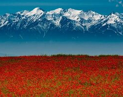 В город Ош доставили частицу Вечного огня с Могилы Неизвестного Солдата