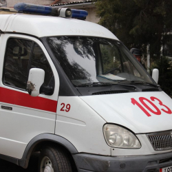 Өзбекстанда дагы бир аял күйөөсүнүн колунан каза болду