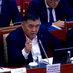 Ташиев Кемпир-Абадда балык уулоого тоскоолдук жаралганы боюнча жооп берди