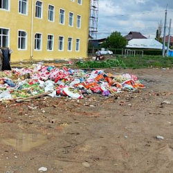 Бишкекте көрктөндүрүү эрежелерин сактабагандарга 702,5 миң сом айып салынды