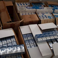 Ошто тамекини мыйзамсыз ташып кирүү фактысына бөгөт коюлду