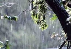 Тоолуу райондордо жаан жаап, күн күркүрөйт. 21-майга күтүлгөн аба ырайы