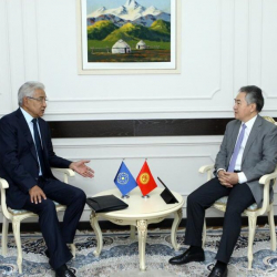 ТИМ башчысы Кулубаев: ШКУ узак мөөнөттүү стратегияга муктаж