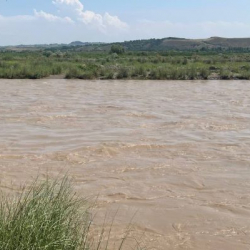 Кара-Дарыяда суу көтөрүлүп, эгин аянттарды каптады