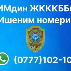 Жол кырсыгына күбө болдуңузбу? Кайгуул кызматынын WhatsApp номуруна кабар жөнөтүңүз
