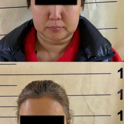 Ири өлчөмдө алдамчылыкка шектүүлөр кармалды